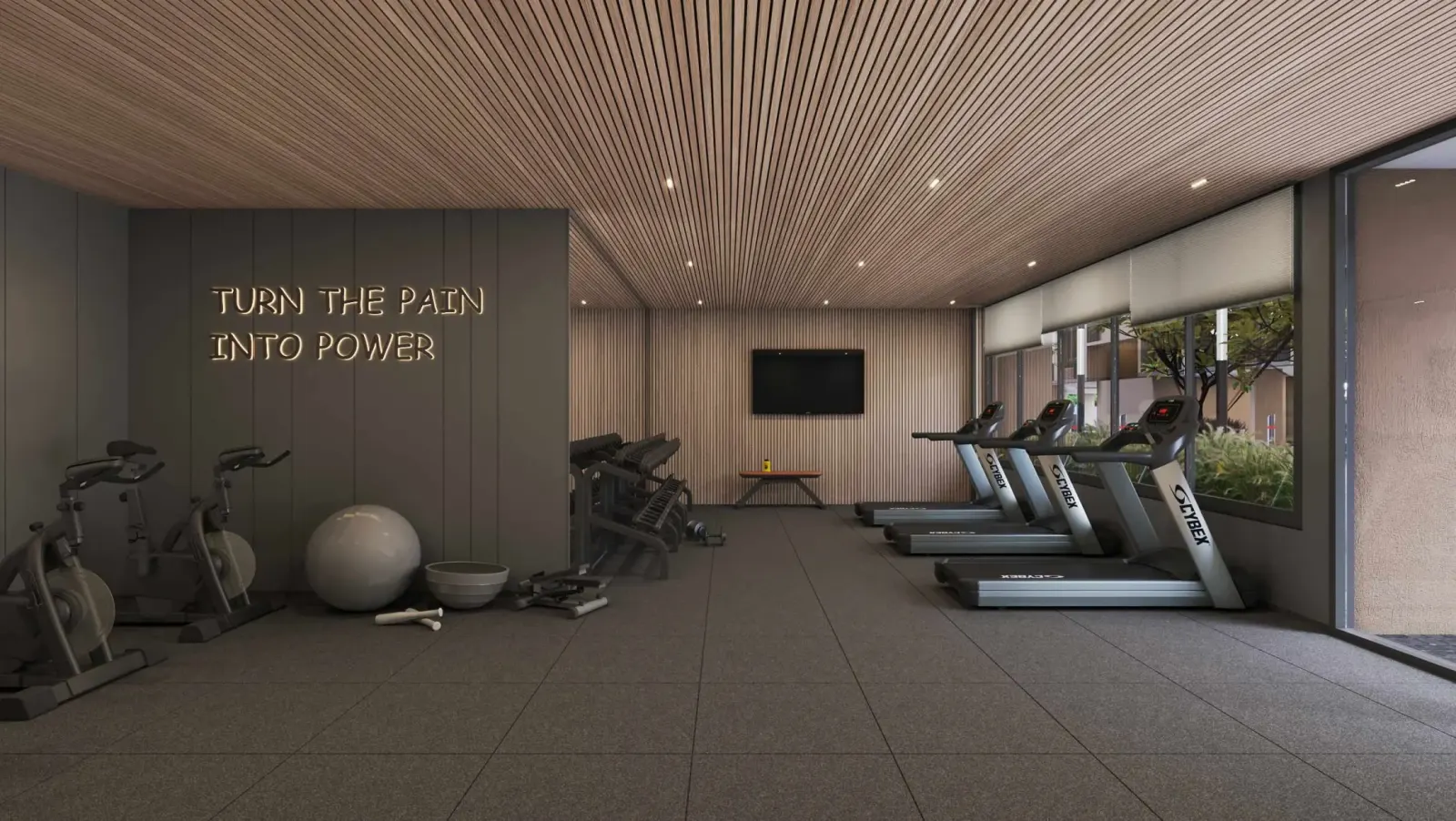 Modern Gymnasium